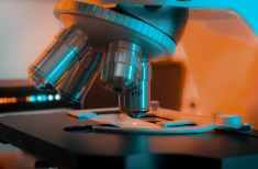 Schroders Credit Lens Mai 2025: Ihr Leitfaden für globale Anleihemärkte