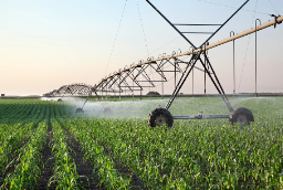 Warum effiziente Landwirtschaft der Schlüssel zu einem nachhaltigen Wassersystem ist