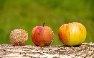 Three market scenarios: how would credit perform?