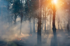 Coup de chaud: les investisseurs sous-estiment les risques physiques liés au changement climatique