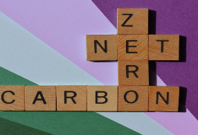 Net zero and multi-asset: what the transition means for portfolios