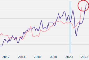 Infografik: November 2021