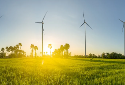 Four reasons to be optimistic about energy transition equities